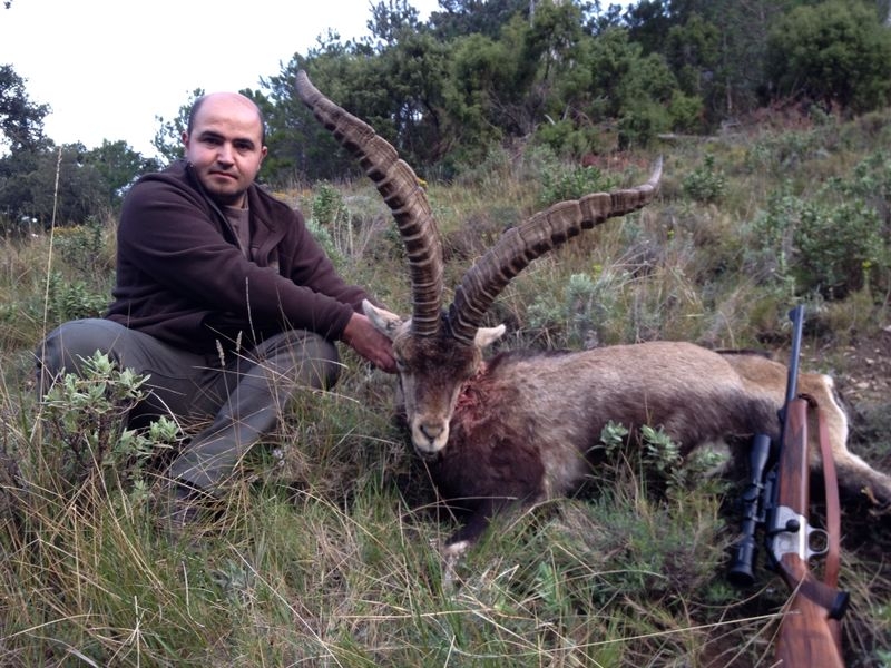 jordi_font_macho_montes_rececho_reserva_nacional_tortosa-beceite_sorteo_armeria_la_diana