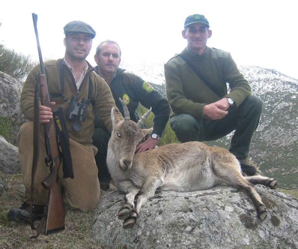 20100127144610017_daoiz_cabra_gredos_2010