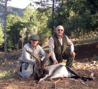 20100204101616CAYETANO_MACHO_MONTES_TORTOSA_2006