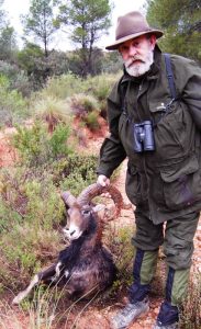 20100222094153Alo Montesinos_muflon_Muela_de_Cortes