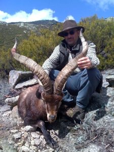 20100324085130maiano_diez_macho_gredos