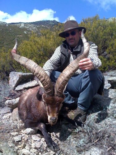 20100324085130maiano_diez_macho_gredos