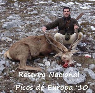 20100412120005029_Matias_Jimenez_Ciervo_Picos_de_Europa
