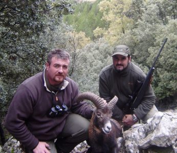 20101126144457agustin_borrero_muflon_cazorla