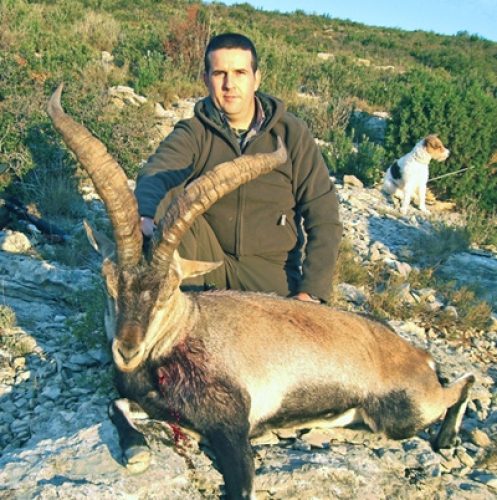 20101126145356francisco_tejedor_macho_beciete