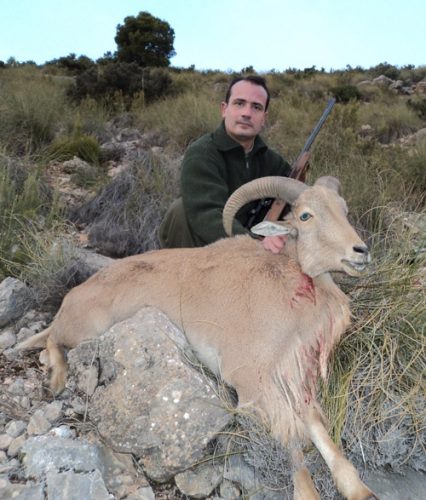 20101202135830joseluis_gragera_arrui