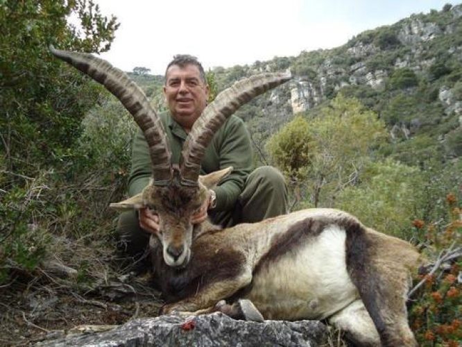 20110329114752amadeo_peiro_macho_tortosa
