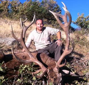 20111009172405ribagorda_ciervo_montes_universales