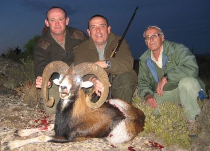 20111111093643eugenio_monrabal_muflon_muela