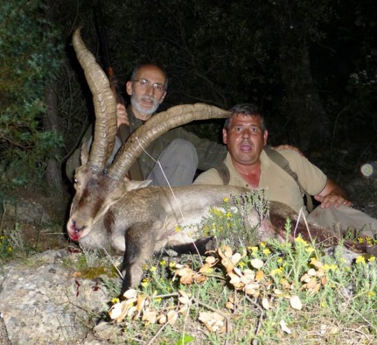 20120601194226suarez_macho_tortosa