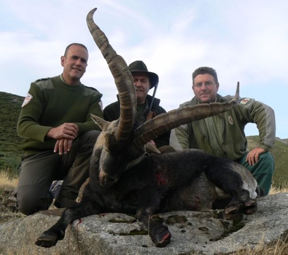 20121029084531restituto_perez_macho_gredos