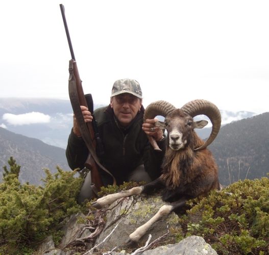 20121203173521bernardo_ordonez_muflon_boumort