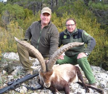 20121224173406david_servat_macho_tortosa
