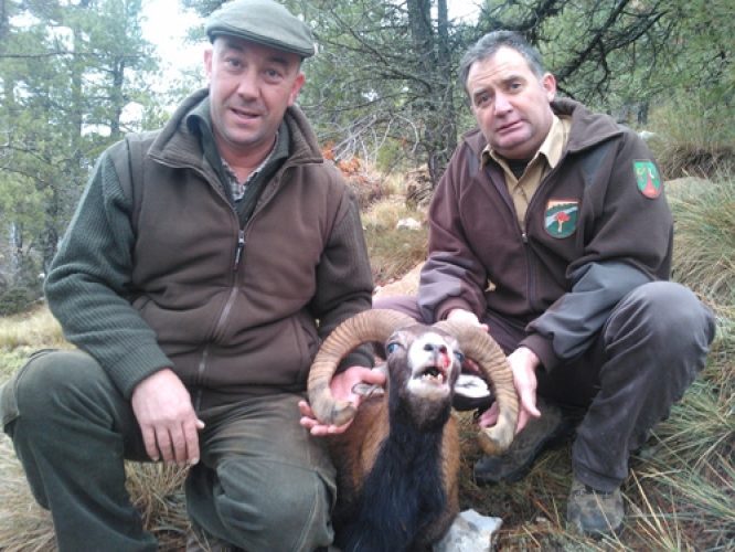 20121224180842jose_antonio_linares_muflon_cazorla