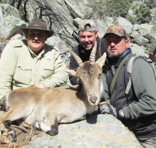 20130217101051clemente_gonzalez_cabra_gredos