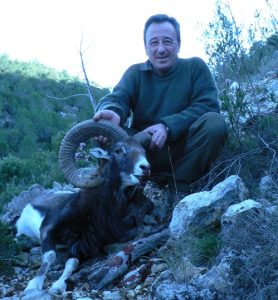 20130217102025felix_gonzlez_muflon_muela