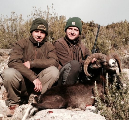 20140311085900pablo_piqueras_muflon_rececho_reserva_nacional_muela_de_cortes_sorteo_armeria_la_diana