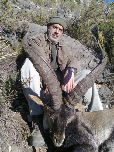20140311090503luis_pineira_macho_montes_rececho_reserva_nacional_muela_de_cortes_sorteo_armeria_la_diana