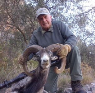 20140311091209paco_barberan_muflon_rececho_reserva_nacional_muela_de_cortes_sorteo_armeria_la_diana