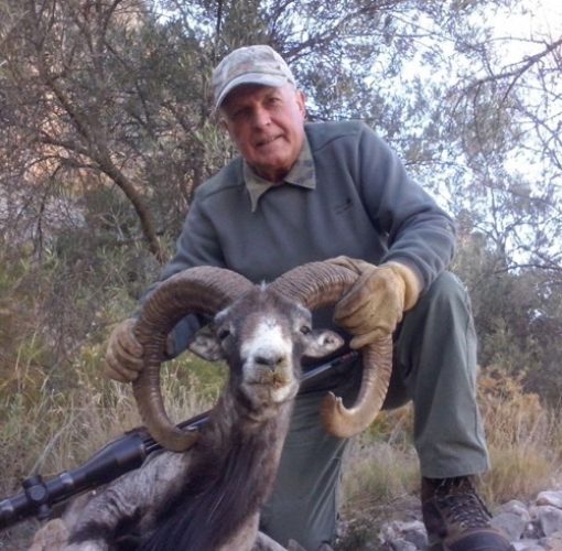 20140311091209paco_barberan_muflon_rececho_reserva_nacional_muela_de_cortes_sorteo_armeria_la_diana