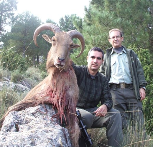 20140314134005pedro_saez_arrui_rececho_reserva_nacional_sierra_espuna_sorteo_armeria_la_diana