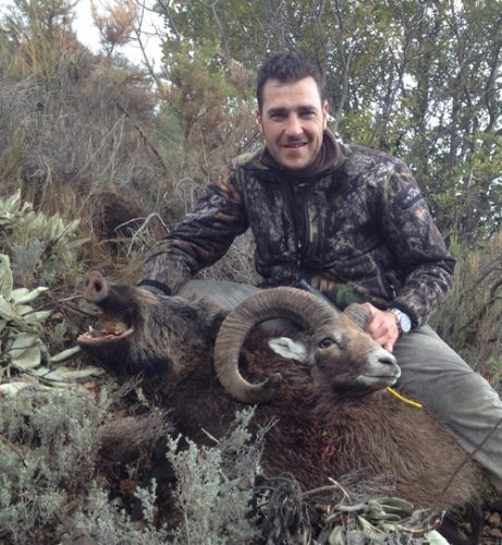 20140317174917alvaro_hernandez_muflon_rececho_reserva_nacional_muela_de_cortes_sorteo_armeria_la_diana