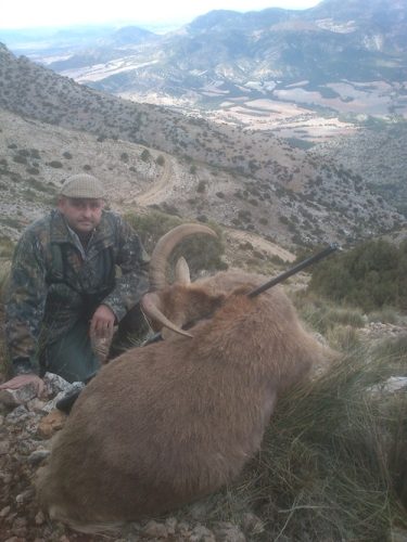 20140318122149santiago_vazquez_arrui_rececho_reserva_nacional_sierra_espuna_sorteo_armeria_la_diana