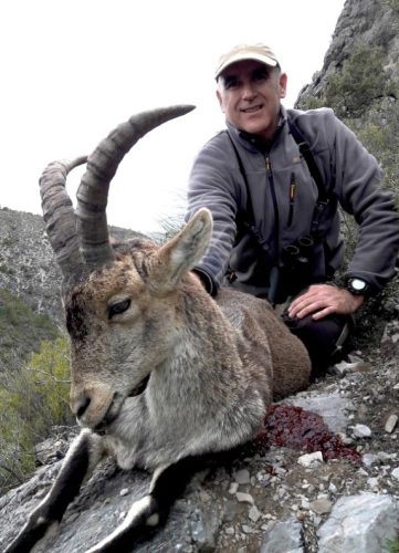 alberto_tendero_macho_montes_rececho_parque_natural_tejeda_almijara_sorteo_armeria_la_diana
