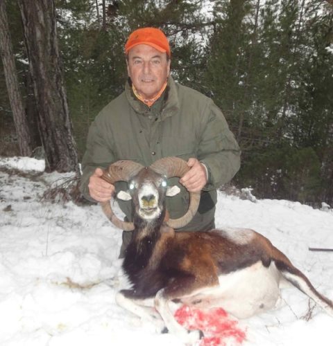 esteban_boj_muflon_rececho_reserva_caza_cazorla_sorteo_armeria_la_diana