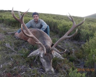 lorenzo_de _gea_ciervo_rececho_reserva_caza_demanda-cameros_sorteo_armeria_la_diana