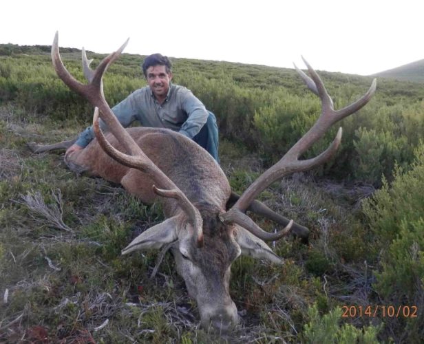 lorenzo_de _gea_ciervo_rececho_reserva_caza_demanda-cameros_sorteo_armeria_la_diana